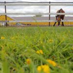 Russian Tax Authority Cracks Down on 'Tax Migration' Schemes by Agricultural Enterprises