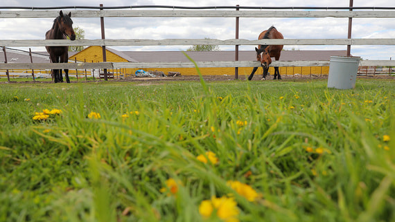 Russian Tax Authority Cracks Down on 'Tax Migration' Schemes by Agricultural Enterprises